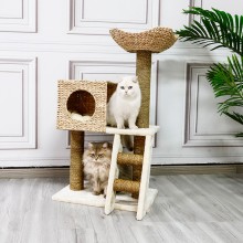 Natural Oasis Cat Climbing Frame