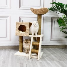 Natural Oasis Cat Climbing Frame