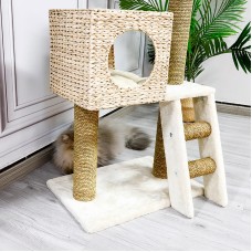 Natural Oasis Cat Climbing Frame