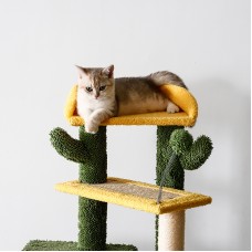 Cactus Oasis Cat Climbing Frame